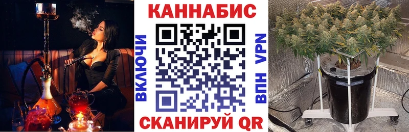 Продажа наркотиков Екатеринбург МЕТАДОН  Мефедрон  КОКАИН  Alpha-PVP  ГАШ  Канабис 