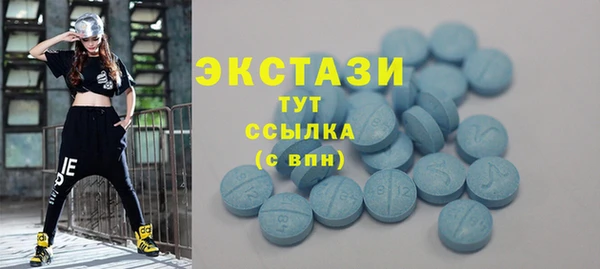 шишки Слюдянка